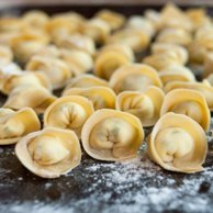 IL TORTELLINO BOLOGNESE DI FINI A. E OLEZZI V. E C.